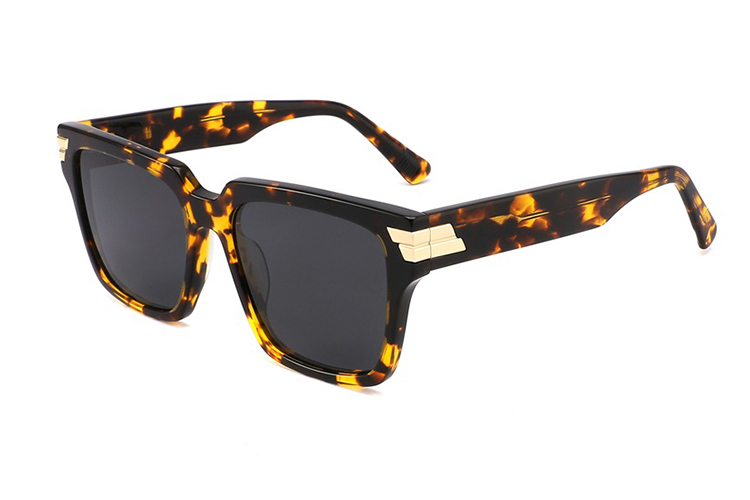 نظارات شمسية من الأسيتات-FG1439T