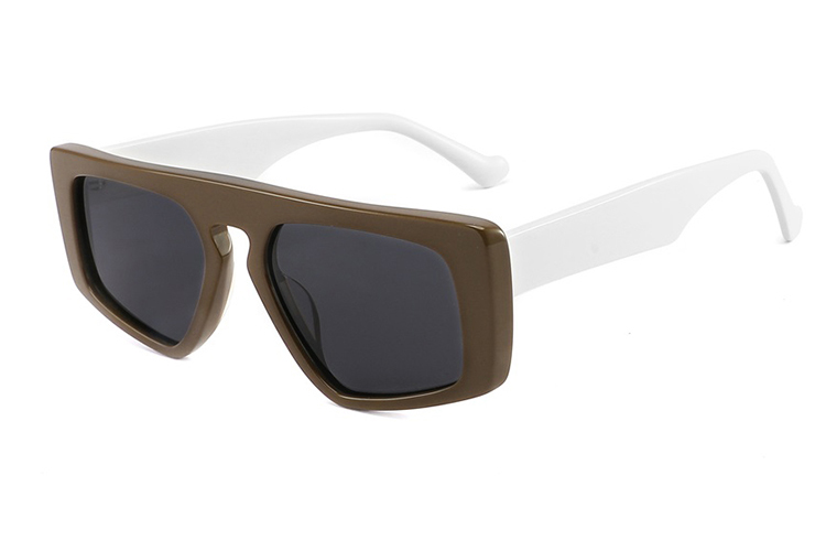 نظارات شمسية من الأسيتات-FG1533T