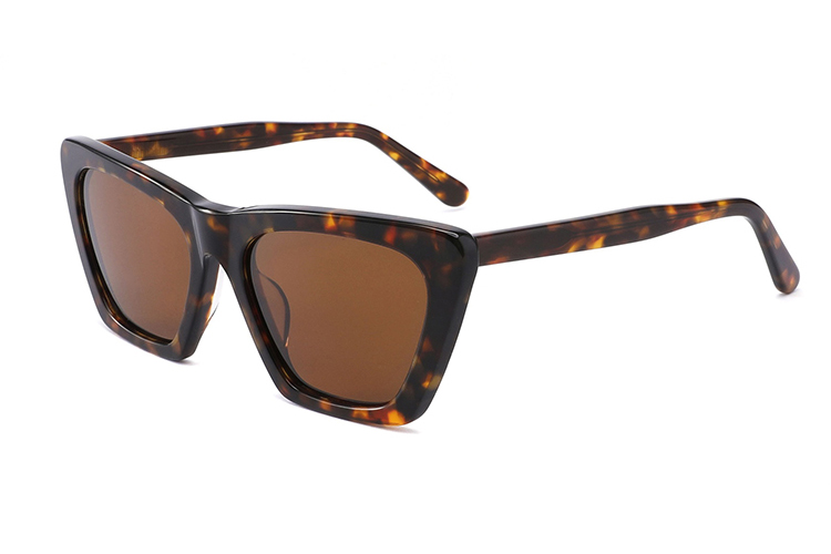 نظارات شمسية من الأسيتات-FG1233T