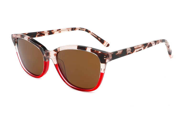 نظارات شمسية من الأسيتات-FG1364T