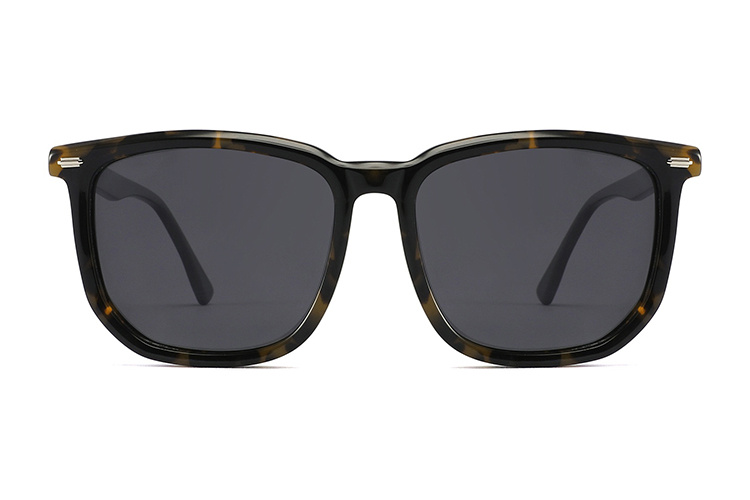 نظارات شمسية من الأسيتات-FG1524T