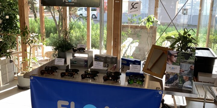 شركة ألفا المحدودة (2)