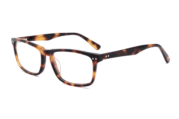 الجملة نظارات خلات الإطار FG1045