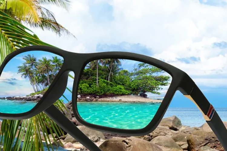 النظارات المستقطبة - شيامن