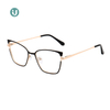 إطارات النظارات المعدنية بالجملة WX21019