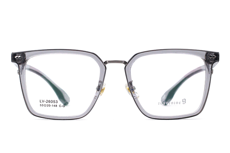 الجملة إطار النظارات Tr90 26053